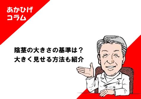 15cm ペニス|陰茎の大きさの基準は？ 大きく見せる方法も紹介.